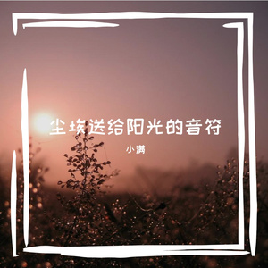 尘埃送给阳光的音符