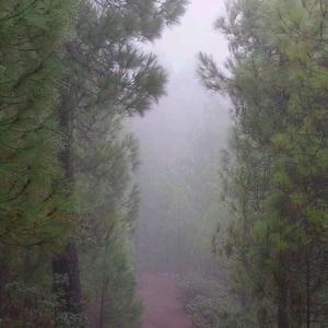 袁恩川-再见了，肥宗_DNF_2_20220420_024219（Qs remix）