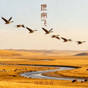 雁南飞