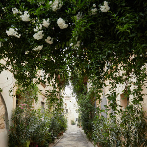 你笑起来真好看