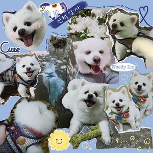 산책갈까(Inst.)