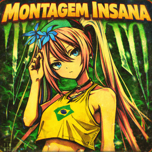 Montagem Insana