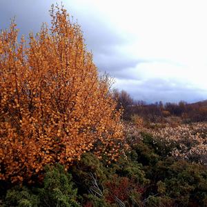 Angels (feat. Yann Kiefer)