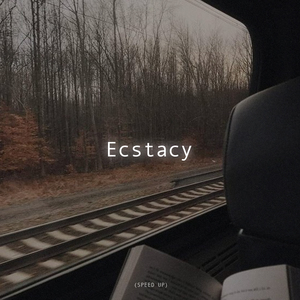 Ecstacy