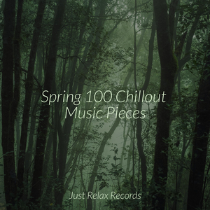 Flowing Serenity's Lullaby