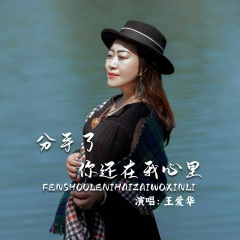 分手了你还在我心里 (DJ默涵版)