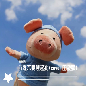 你就不要想起我