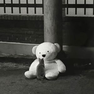 Apricity（冬日暖阳）