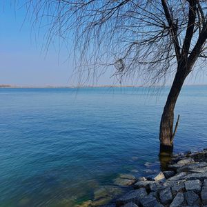 灵魂原点的永恒见习