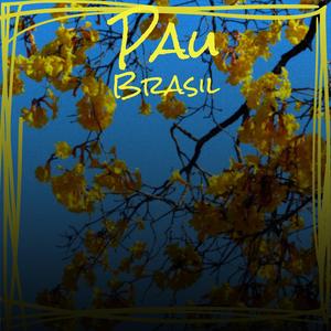 Pau Brasil