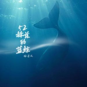 52赫兹的蓝鲸