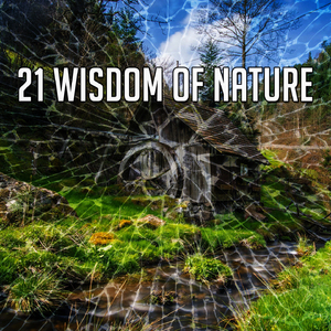 隱藏在自然的和平中