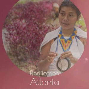 Twilight Shuttlecock