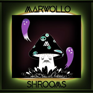 Shrooms (Original Mix)