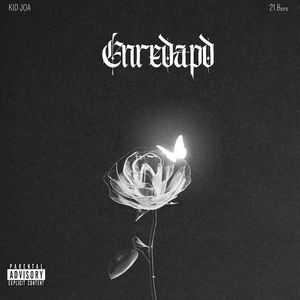Enredado