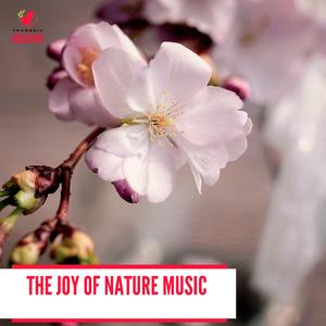 Euphonious Toad Trill