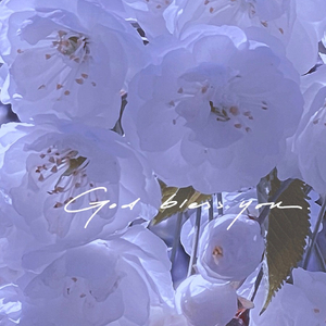 雨林的音乐盒催眠曲