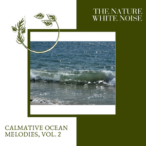 Rejuvenating Ocean Waves