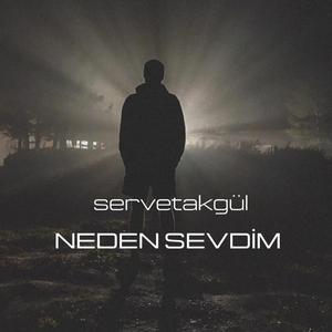 Neden Sevdim