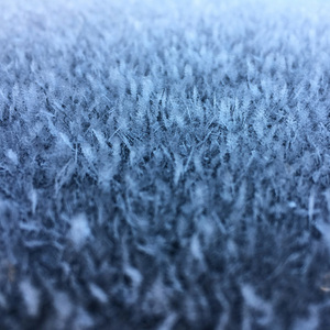 Frozen