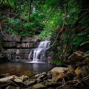 The Relaxation of the River Water Flows Calm the Mind