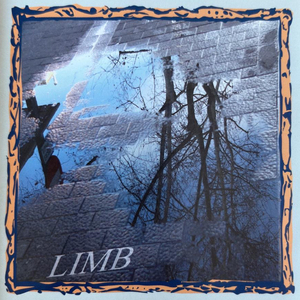 L'Electró Arriscat