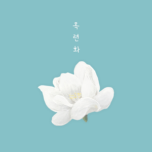 목련화 (Magnolia)