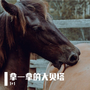 娜一娜爱的交响曲