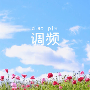 调频（星尘demo版）