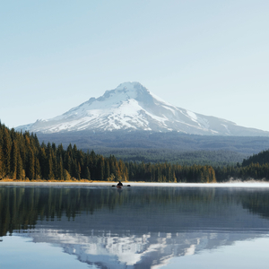 Black and White Solos