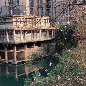 寻一个天荒地老的地方（cover 单依纯)