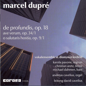 De profundis, Op. 18 (Version for Choir and Organ): No. 9, Requiem aeternam