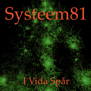 Jul på Mentalsjukhuset