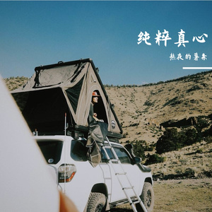 纯粹真心