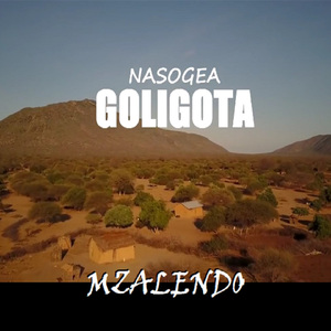Nasogea Goligota