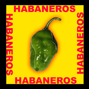 Habaneros