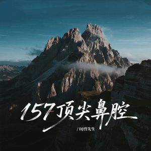 157顶尖鼻腔