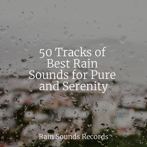 Song of the Gentle Meadow