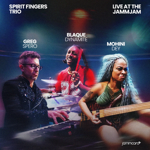 NAILS - Spirit Fingers Trio, Live at the JammJam