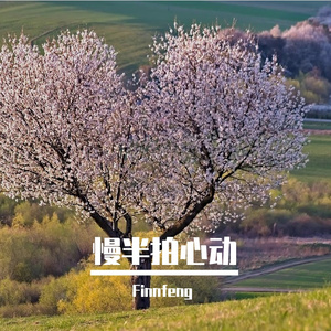 慢半拍心动