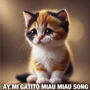 AY MI GATITO MIAU MIAU SONG