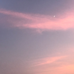 被浪费的时间