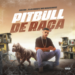 Pitbull de Raça