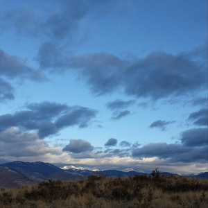 Whiskey in the Kitchen (feat. Art Frankel, Paul Elliott, Tim Moran, Adam Libertini & Sally Reavis)