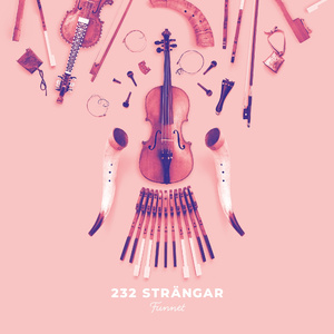 Slängpolska av Carl-Eric Berndt