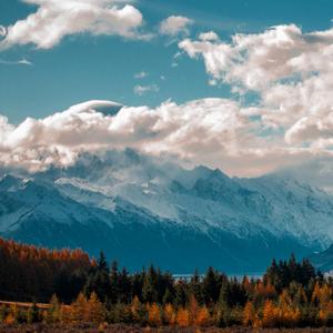 无言感激（live）