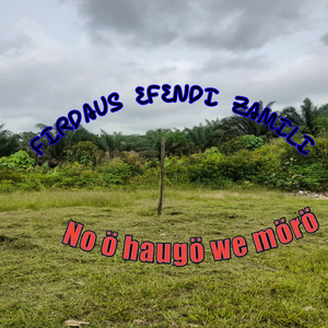 No ö haogö we mörö