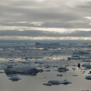 North Atlantic Drift