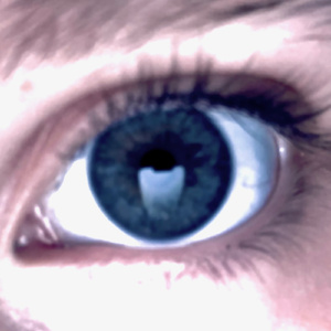 The Rose and The Thorn (Remastered)