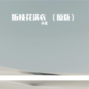 折枝花满衣